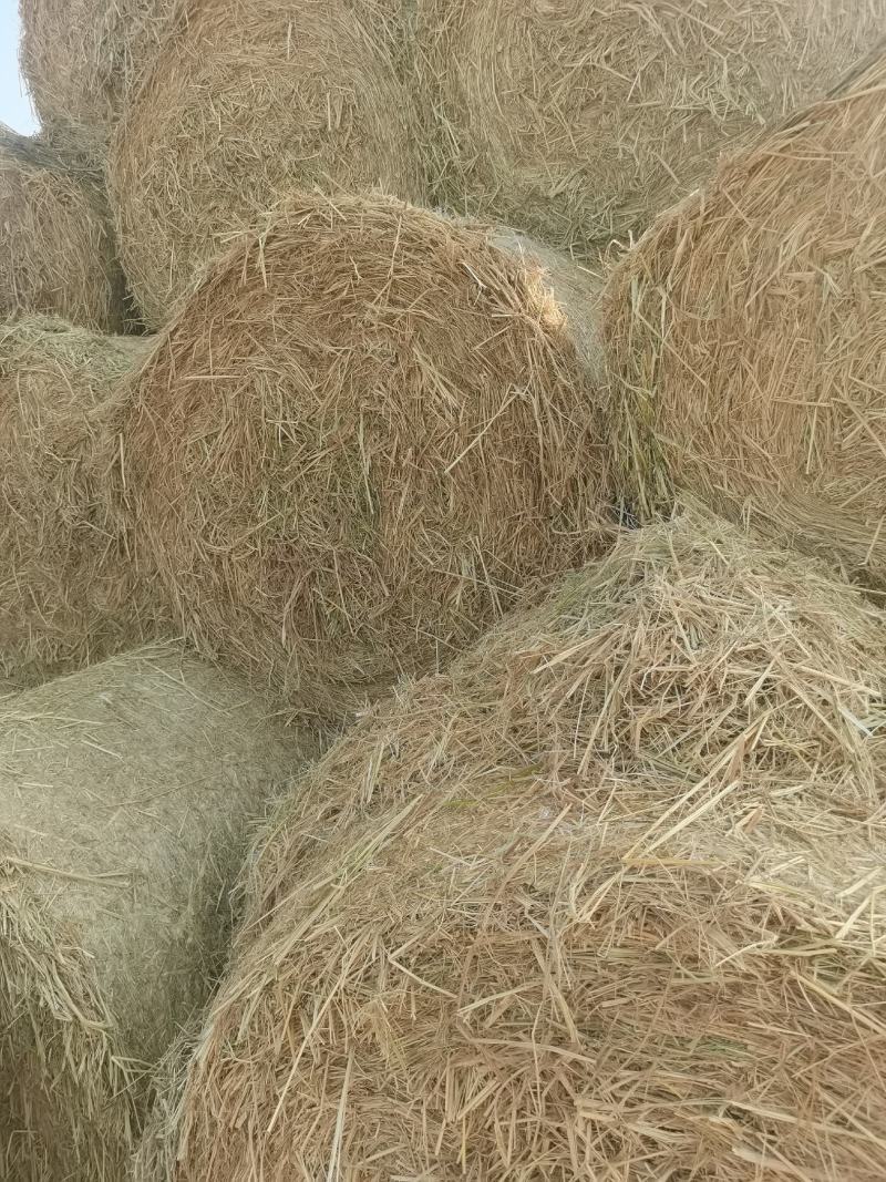 稻草，花生秧，青黄储