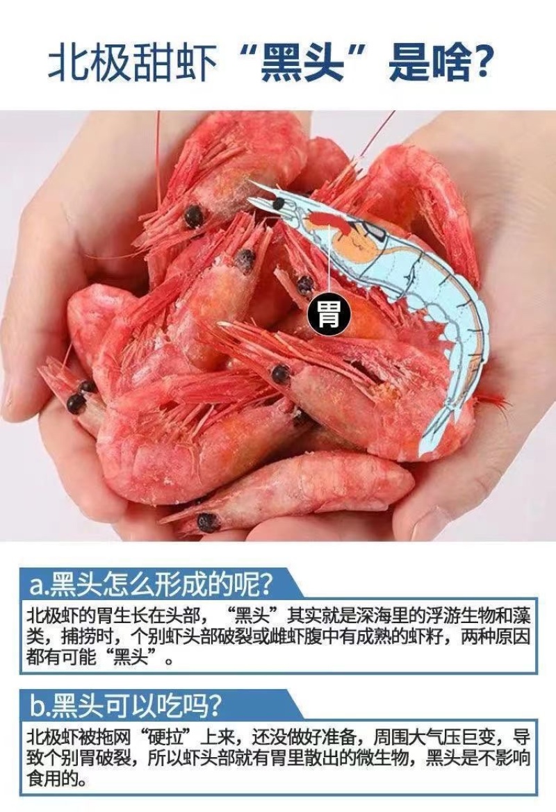北极甜虾头籽腹籽虾元宝虾海虾水产批发
