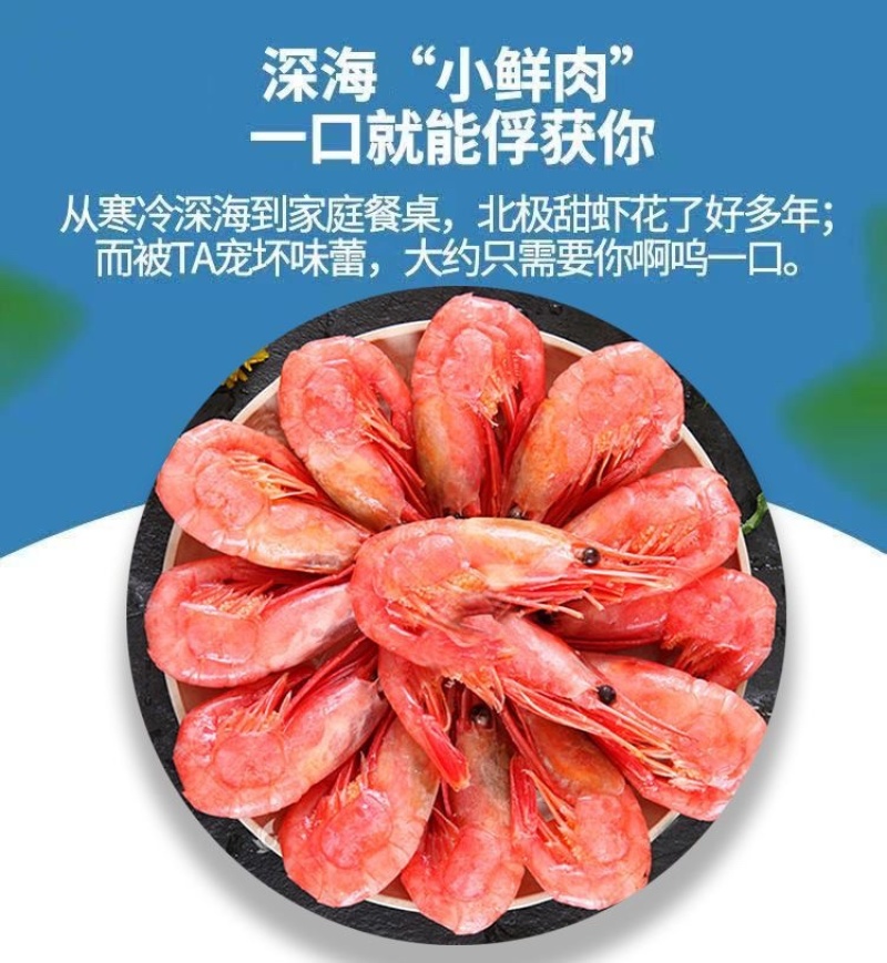 北极甜虾头籽腹籽虾元宝虾海虾水产批发