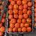 默科特柑橘质量放心，可供电商超市，欢迎各位老板前