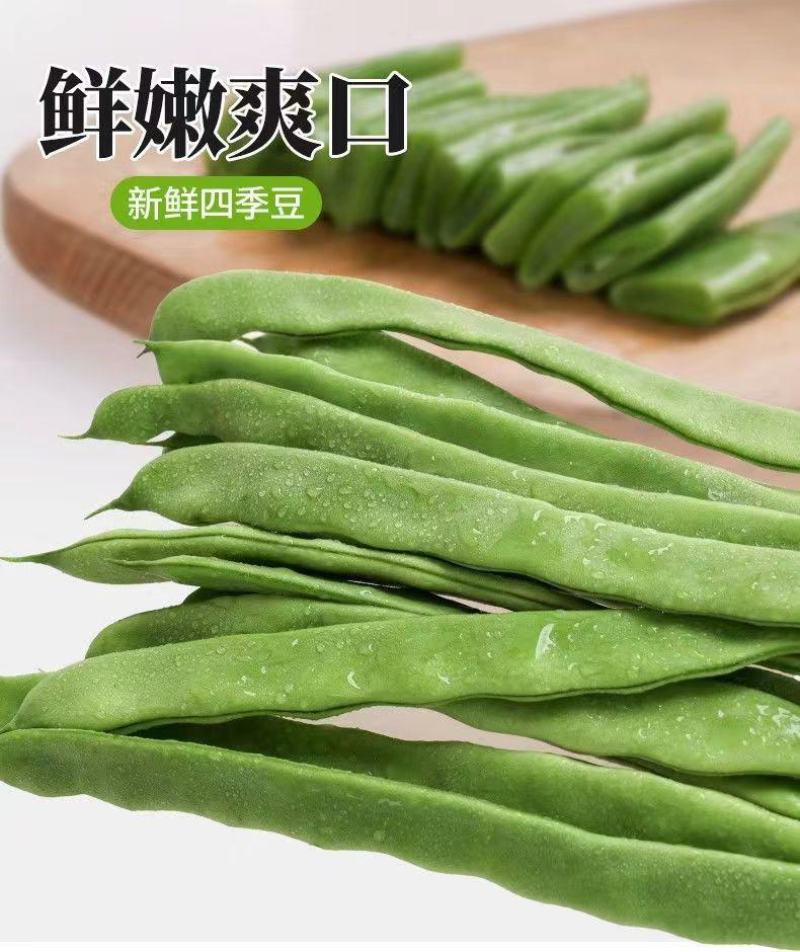 山东新鲜扁芸豆，精品货源，基地现摘现发，一件代发