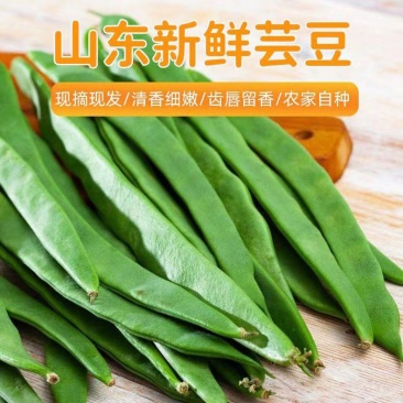 山东新鲜扁芸豆，精品货源，基地现摘现发，一件代发