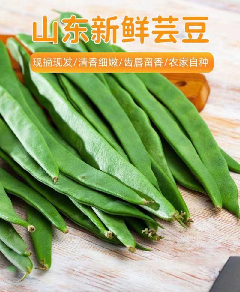 山东新鲜扁芸豆，精品货源，基地现摘现发，一件代发