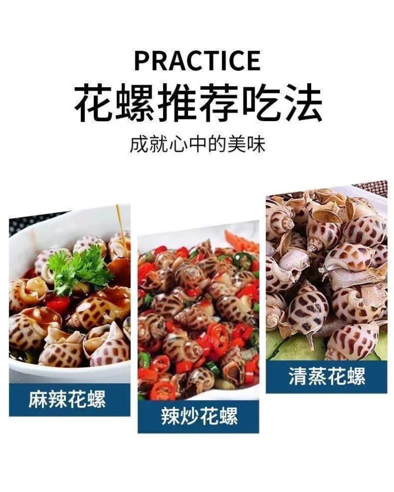 新鲜大花螺鲜活冷冻东风螺海螺海猪螺海鲜水产批发好欢螺