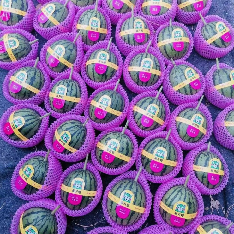 冰糖子大量上市，皮薄多汁，糖度14以上。