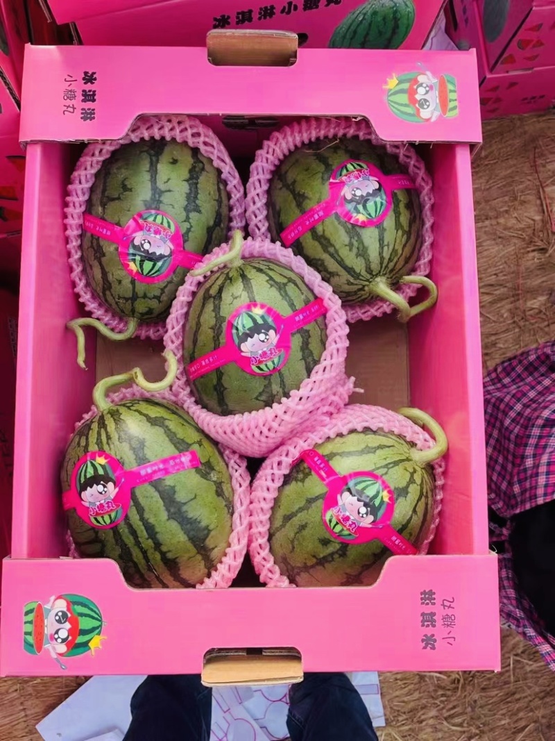 冰糖子大量上市，皮薄多汁，糖度14以上。