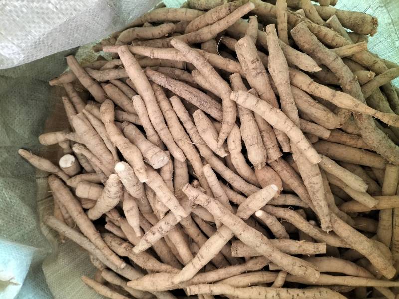 新鲜牛大力，中叶牛，煲汤靓货甘甜，各种规格齐全