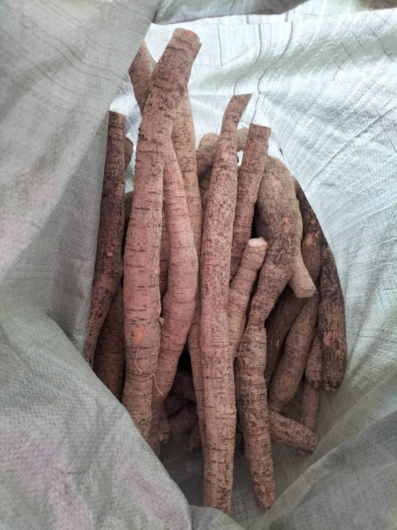 新鲜牛大力，中叶牛，煲汤靓货甘甜，各种规格齐全