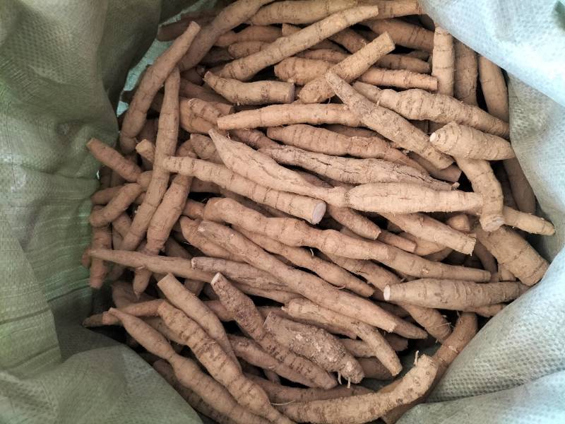 新鲜牛大力，中叶牛，煲汤靓货甘甜，各种规格齐全