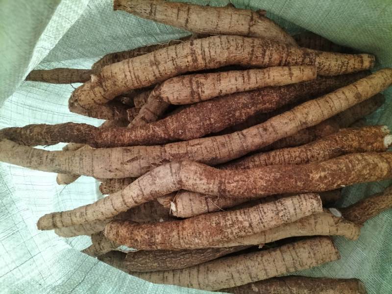 新鲜牛大力，中叶牛，煲汤靓货甘甜，各种规格齐全