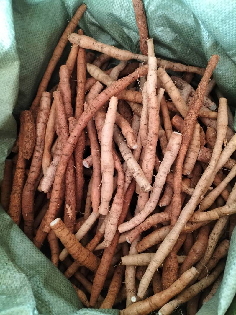 新鲜牛大力，中叶牛，煲汤靓货甘甜，各种规格齐全