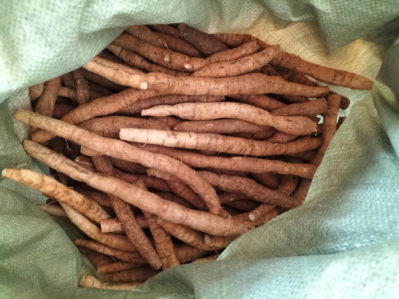 新鲜牛大力，中叶牛，煲汤靓货甘甜，各种规格齐全
