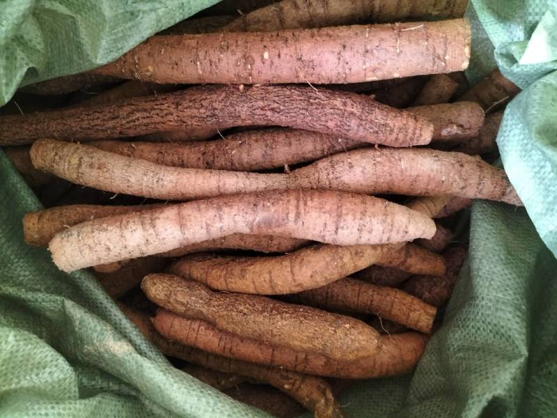 新鲜牛大力，中叶牛，煲汤靓货甘甜，各种规格齐全