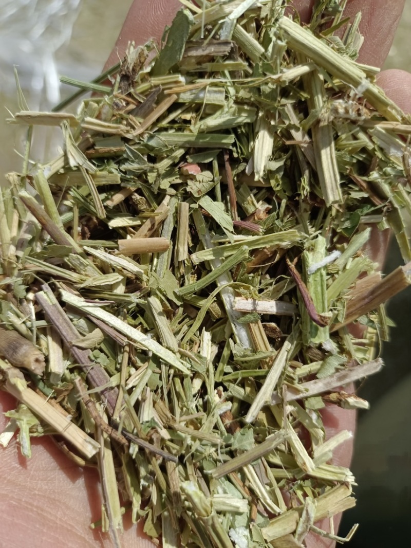 淮阳花生秧品质好质量有保证欢迎各位老板前来选购
