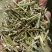 淮阳花生秧品质好质量有保证欢迎各位老板前来选购