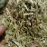 淮阳花生秧品质好质量有保证欢迎各位老板前来选购