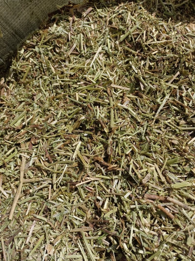 淮阳花生秧品质好质量有保证欢迎各位老板前来选购