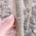 【推荐】大型杨树苗种植基地，107速生杨树苗，无絮杨树苗