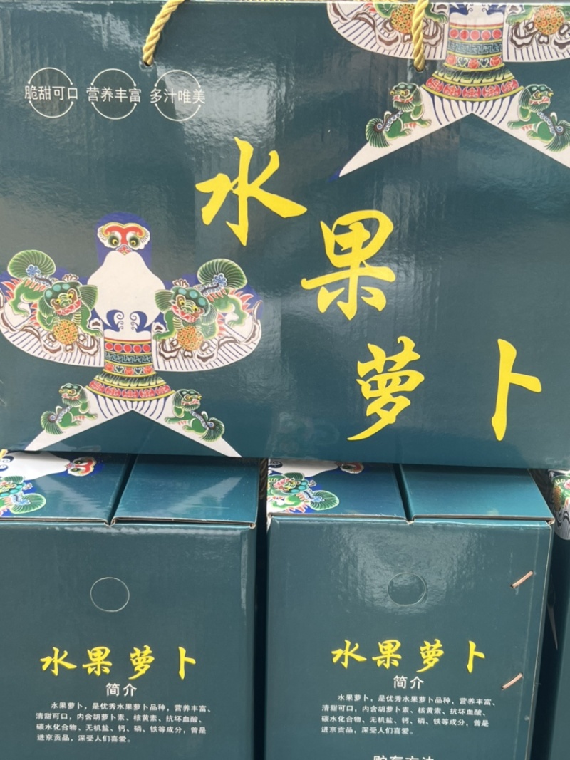 【精品】山东水果萝卜潍县萝卜，现货供应保质保量