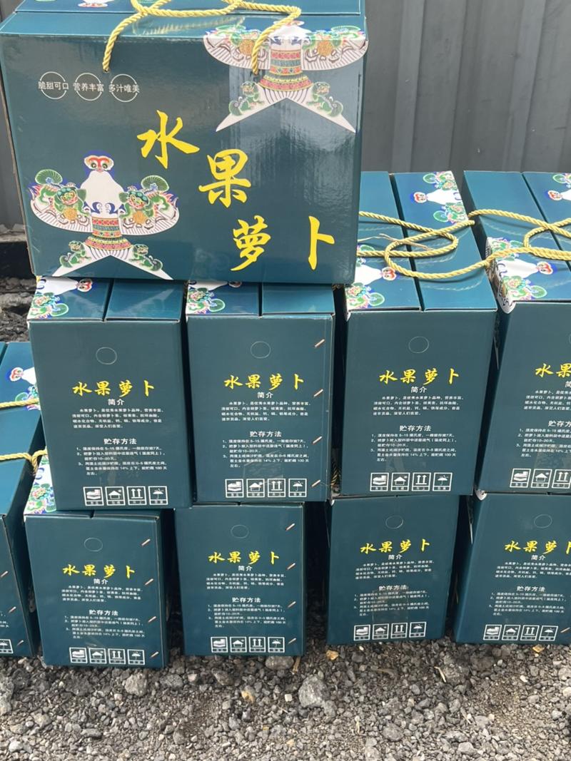 【精品】山东水果萝卜潍县萝卜，现货供应保质保量