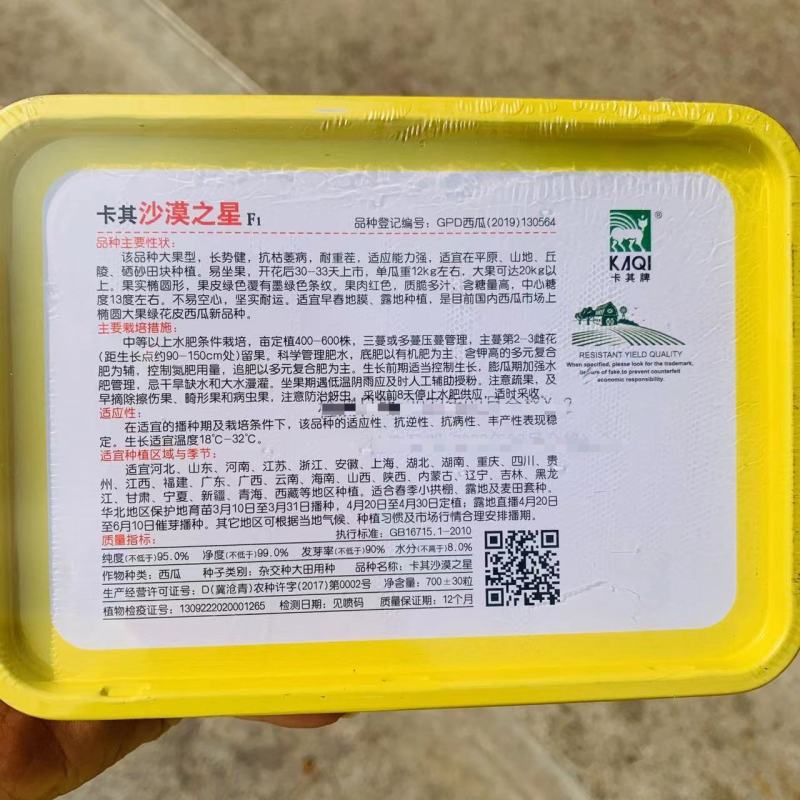 耐重茬沙漠之星西瓜种子大果型抗枯萎病硒沙瓜种子糖度高