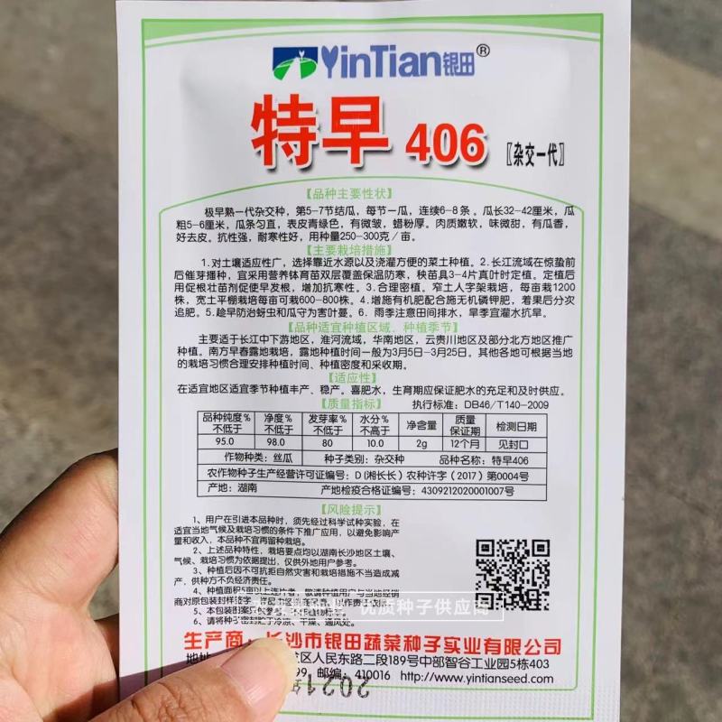 特早熟丝瓜种子特早406杂交一代丝瓜品种有瓜香好去皮