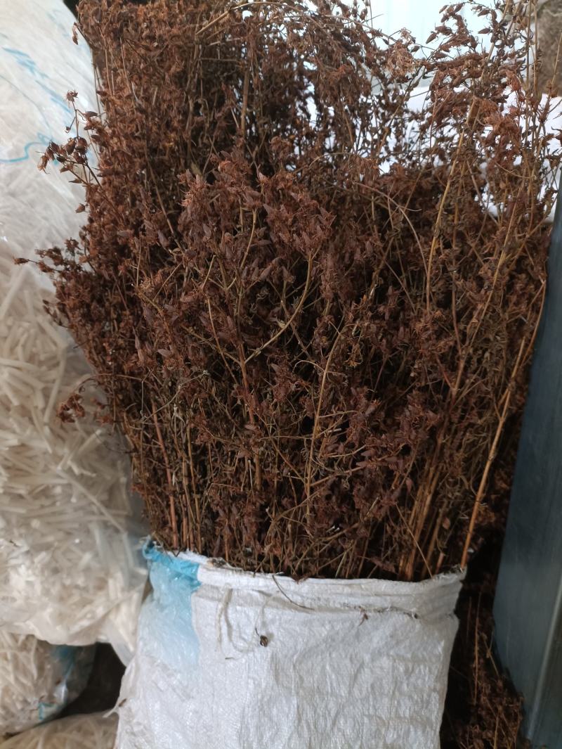 贯叶连翘，刘寄录，提取金丝桃素，全草统货冷背药材