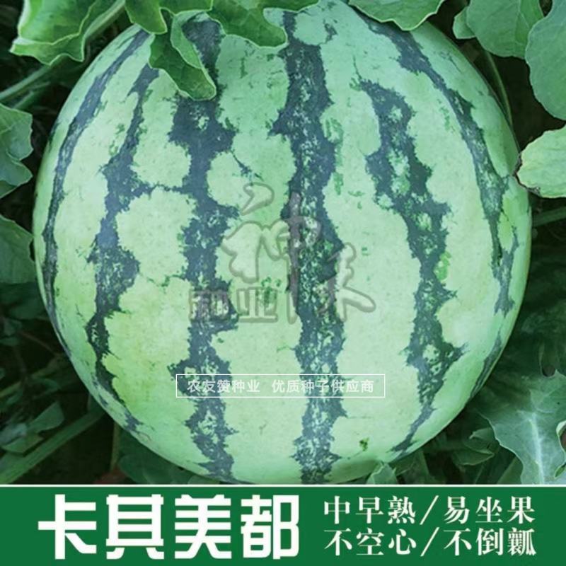 卡其美都西瓜种子瓤红脆爽上糖早，不倒瓤不空心易坐果