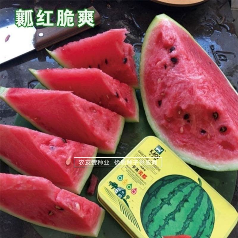 卡其美都西瓜种子瓤红脆爽上糖早，不倒瓤不空心易坐果