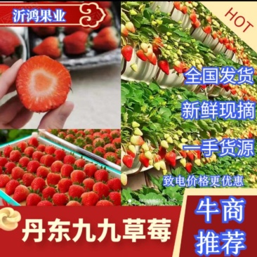 【丹东红颜草莓】精品九九草莓，现采现发，顺丰包邮坏果包赔