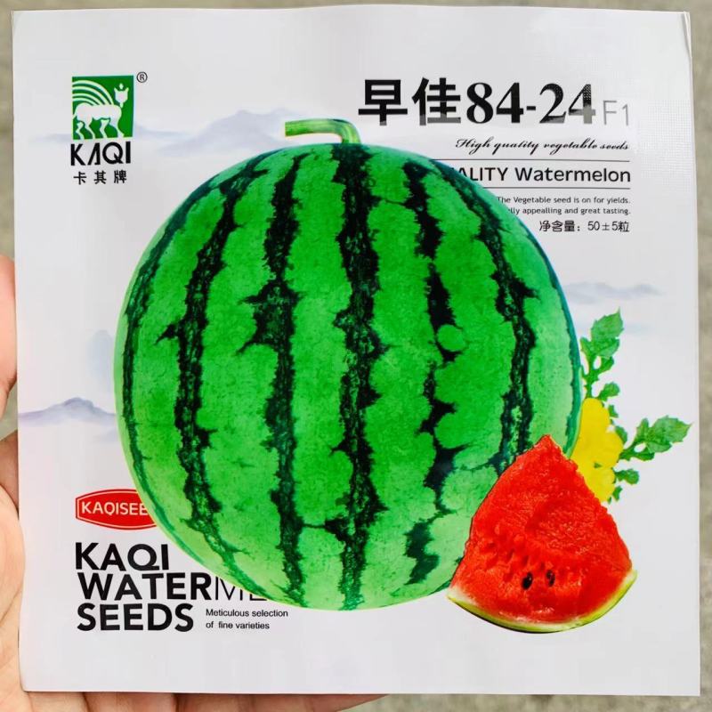 小包装西瓜种子冰糖麒麟西瓜种子早佳8424西瓜种籽早熟