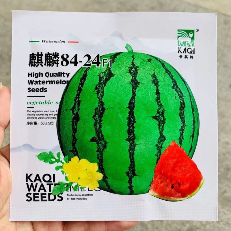 小包装西瓜种子冰糖麒麟西瓜种子早佳8424西瓜种籽早熟