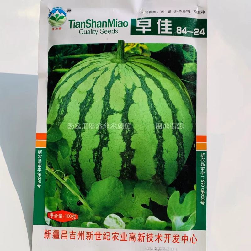 新疆早佳8424西瓜种子一代杂交品种早熟瓤色红商品性好
