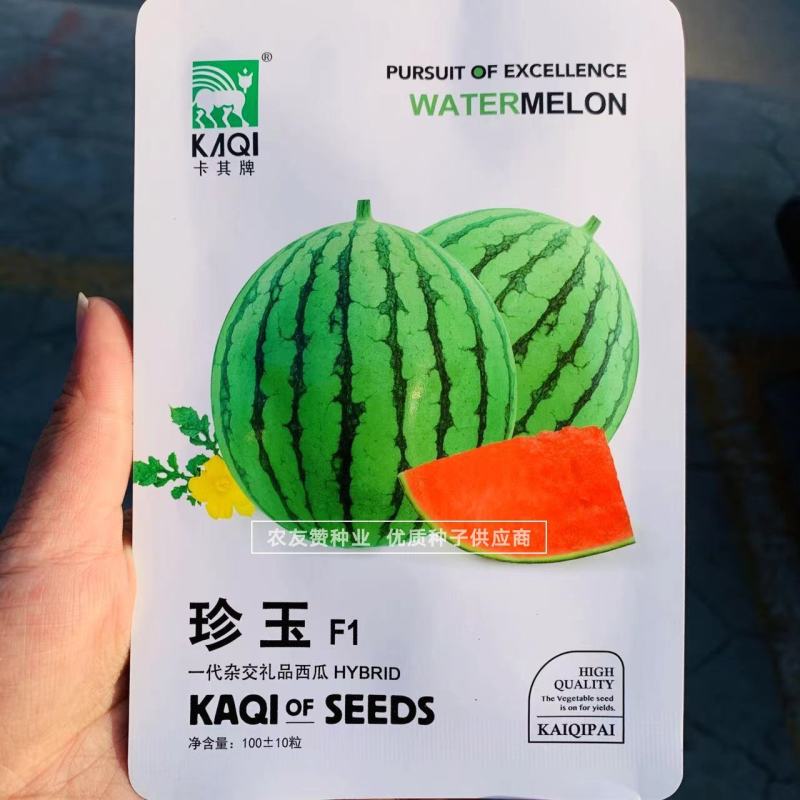珍玉小西瓜种子早熟杂交一代礼品西瓜种子皮薄口感好