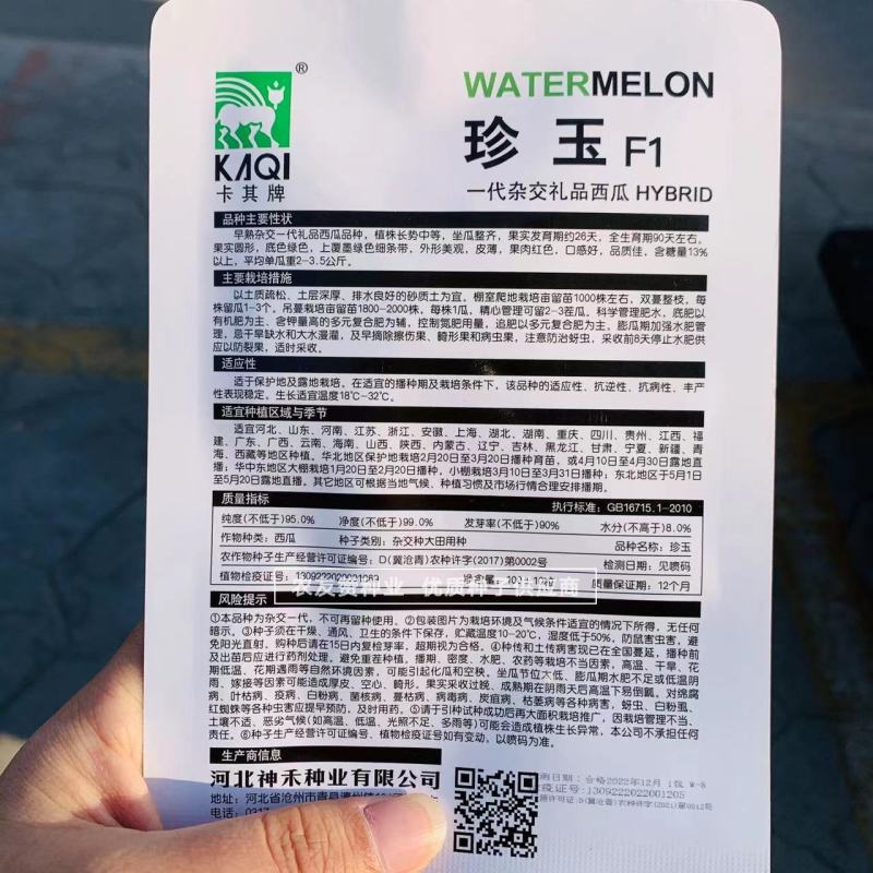 珍玉小西瓜种子早熟杂交一代礼品西瓜种子皮薄口感好