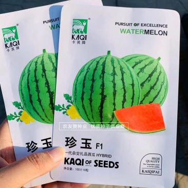 珍玉小西瓜种子早熟杂交一代礼品西瓜种子皮薄口感好