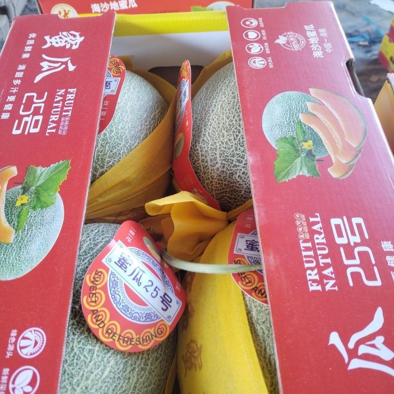 哈密瓜