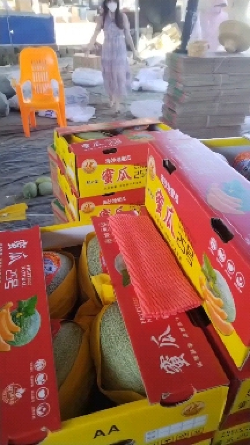 哈密瓜