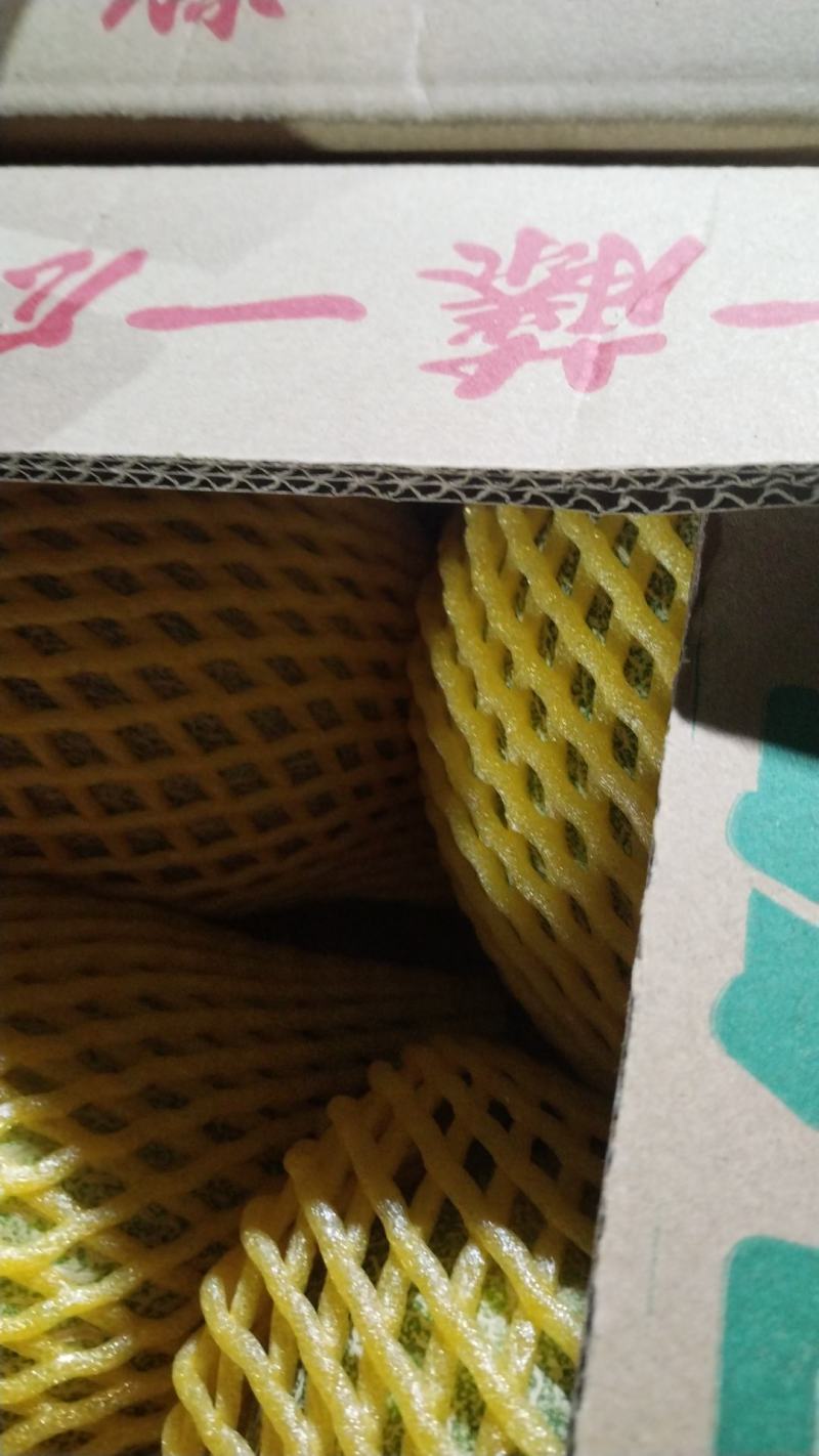 哈密瓜