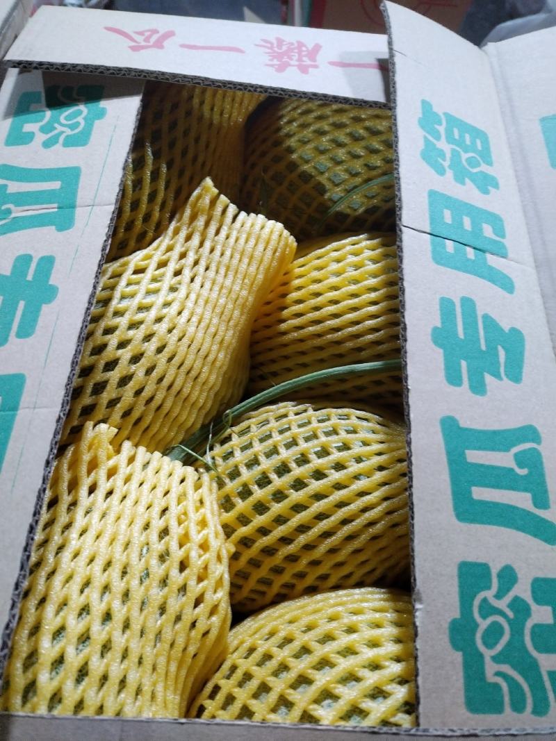 哈密瓜