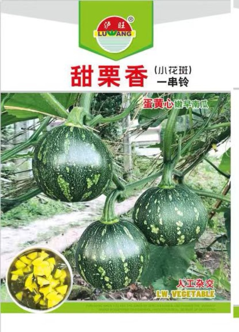 小南瓜种子甜栗香靑花皮黄心南瓜肉紧实香味浓结瓜多