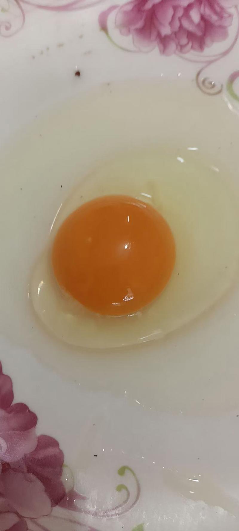 土鸡蛋农家鸡蛋保质保量可批发可零售只对接苏州吴江地区