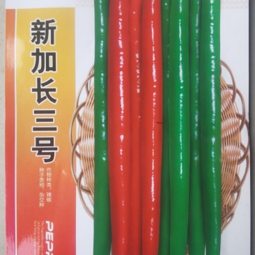 线椒种子新加长三号深绿色长条顺直辣味强结果多高产