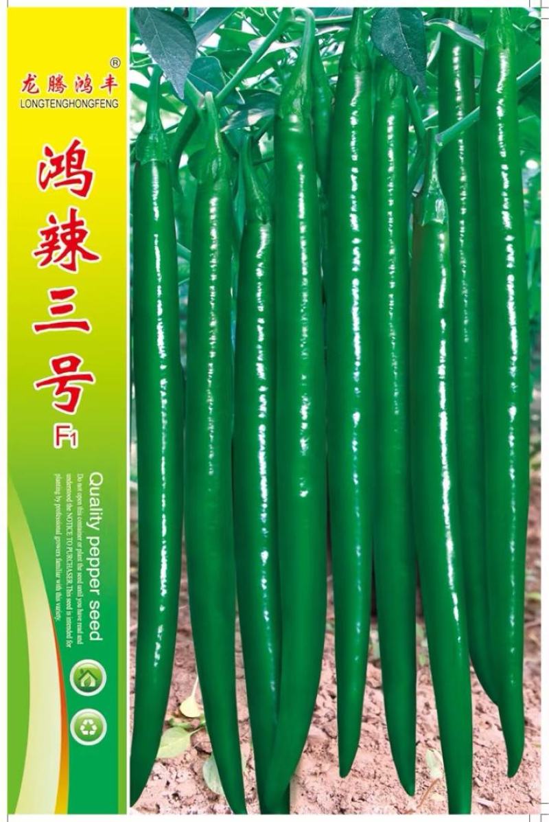 线椒种子新加长三号深绿色长条顺直辣味强结果多高产