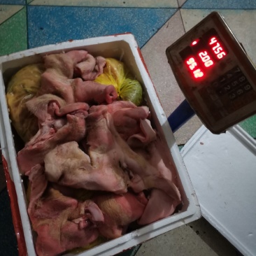 新鲜无耳朵猪头皮，收回来放在冷库打硬用泡沫箱包装发货。