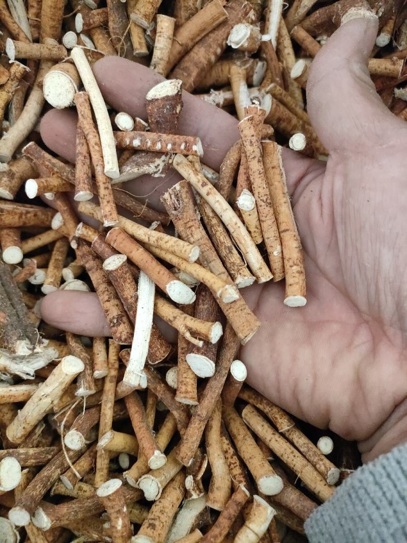 无硫五指毛桃小节