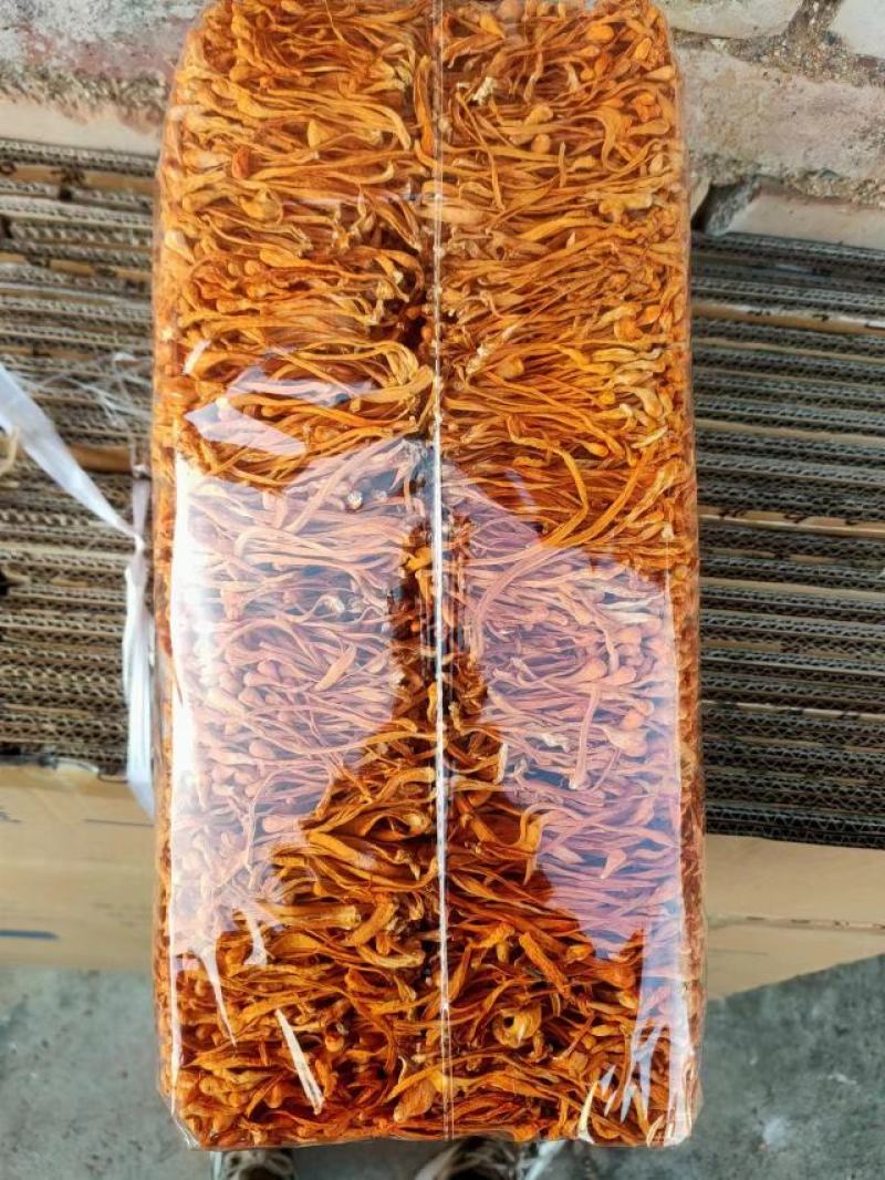 虫草花干货内蒙产地货源批发北虫草新鲜金虫草煲汤