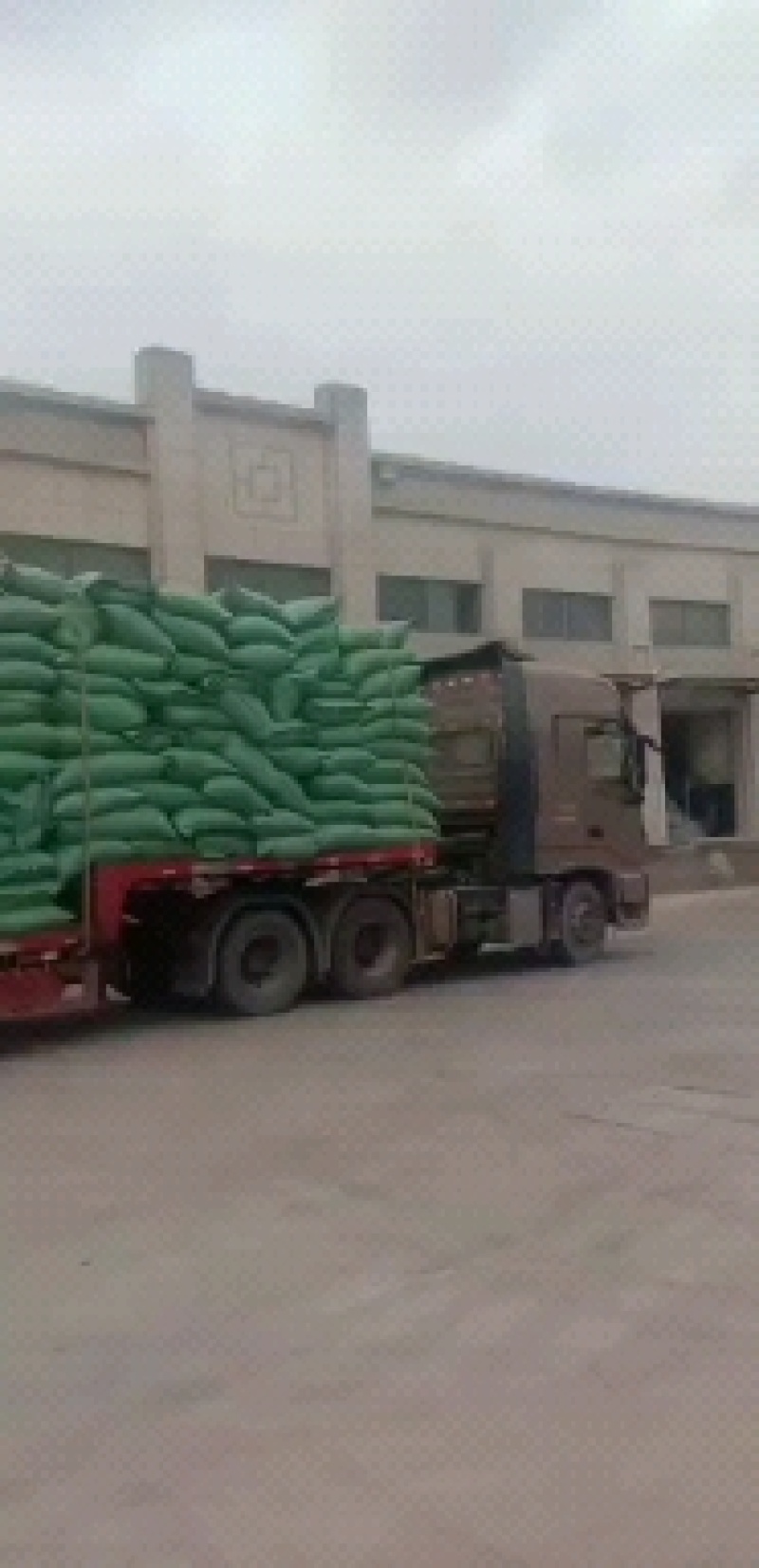 德阳，稻壳，谷壳