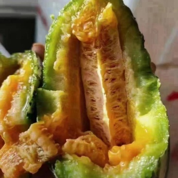 代收代发精品博洋九，羊角蜜，博洋六一，博洋九一以及各种甜