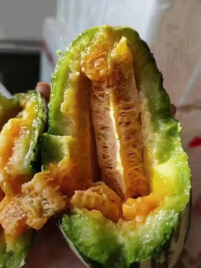 代收代发精品博洋九，羊角蜜，博洋六一，博洋九一以及各种甜